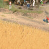 Walthers SceneMaster 1143  Harvest Wheat Field - Brown
