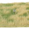 Walthers SceneMaster 1129  Tear & Plant Meadow Mat