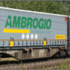 B-Models 59.305  Container Cars Sggmrss 90', AMBROGIO