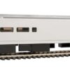 Walthers Mainline 31053   85' Horizon Cafe/Club Food Service Car, Amtrak Unlettered