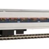 Walthers Mainline 31001   85' Horizon Fleet Coach, Amtrak PH IV
