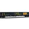 Aurora Miniatures 309018  HO NSC 3650 cf Railgon, GNTX #295670