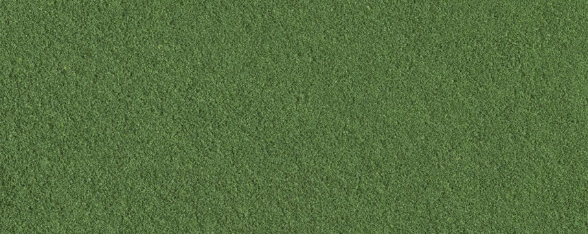Woodland Scenics T46  Fine Turf Weeds Grass Bag