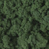 Woodland Scenics FC184  Clump-Foliage™ Dark Green Bag 173 in³ (2.83 dm³)